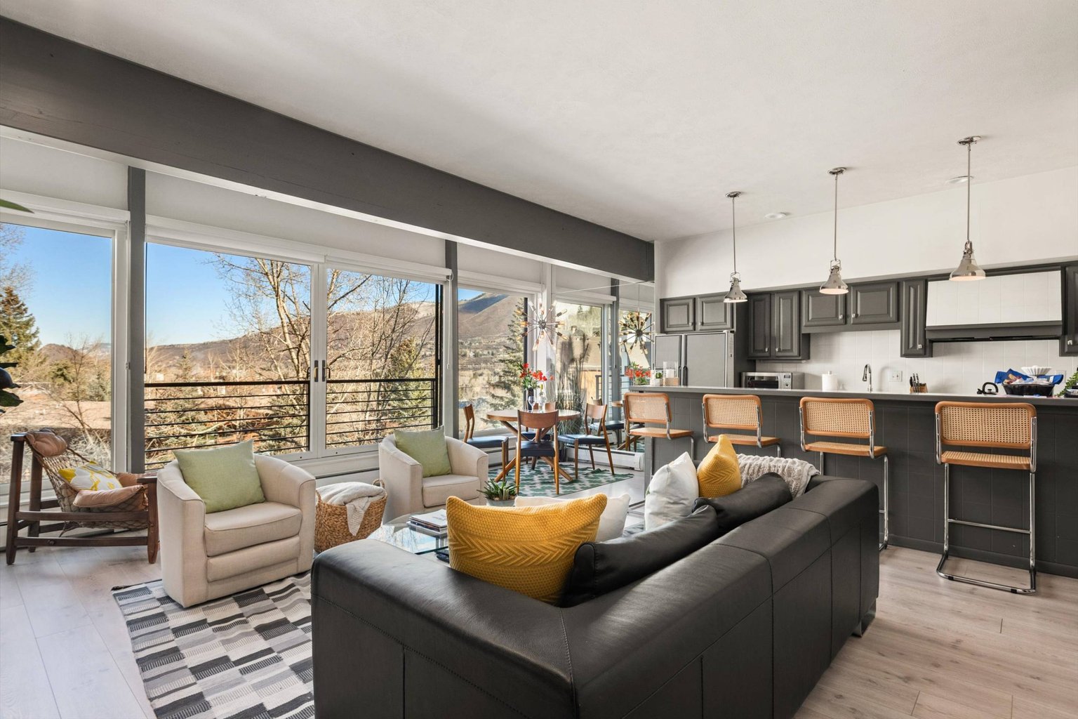 Aspen Vacation Rental