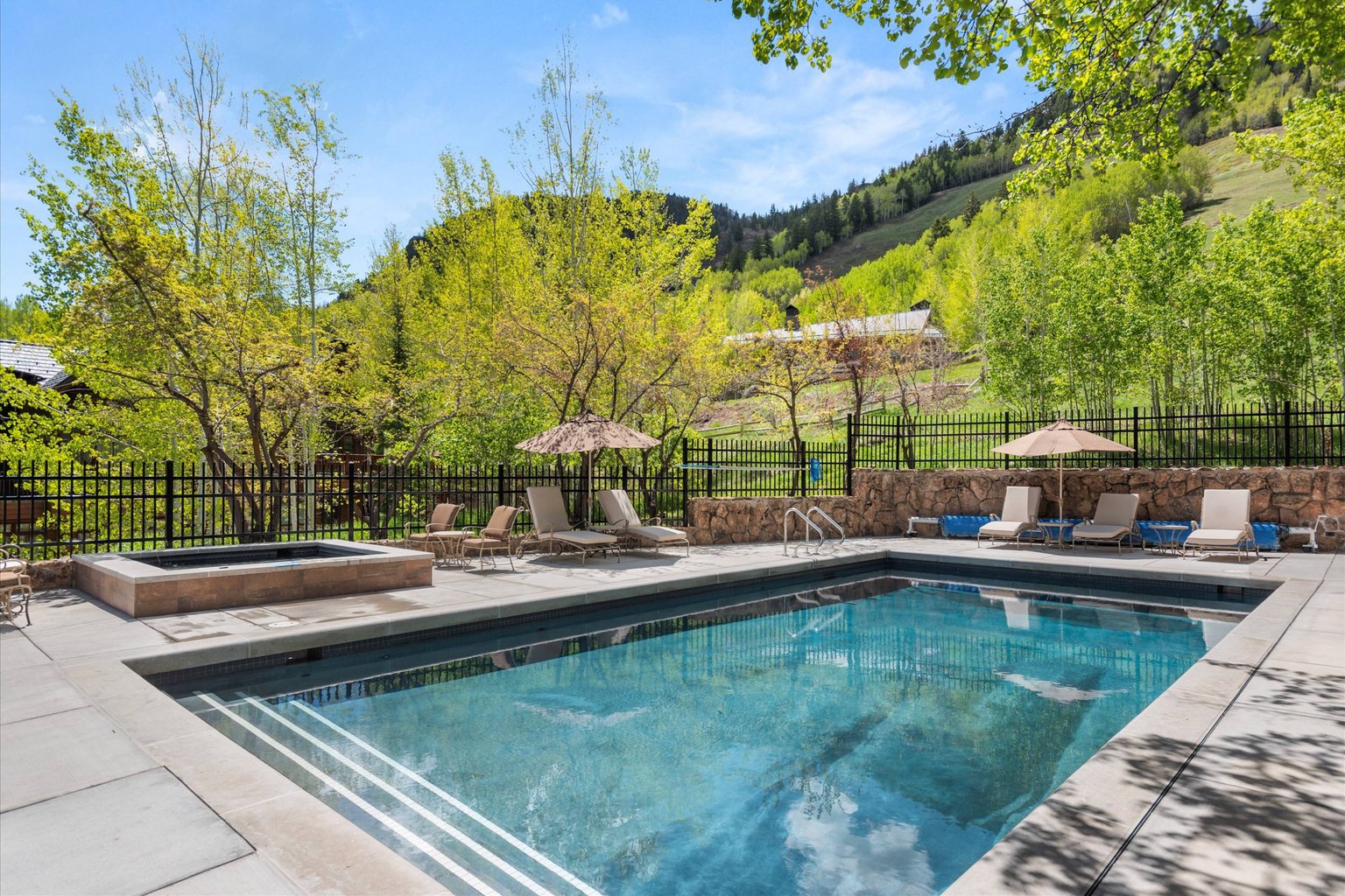 Aspen Vacation Rental