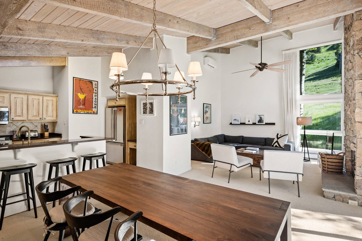 Aspen Vacation Rental