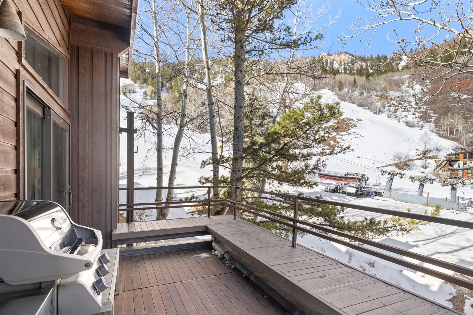 Aspen Vacation Rental