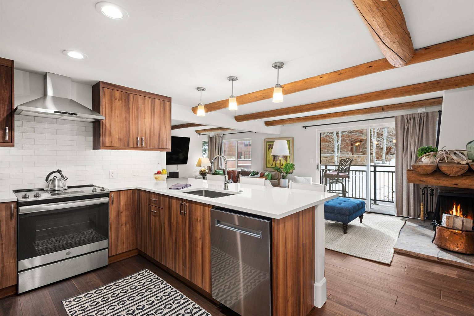 Aspen Vacation Rental