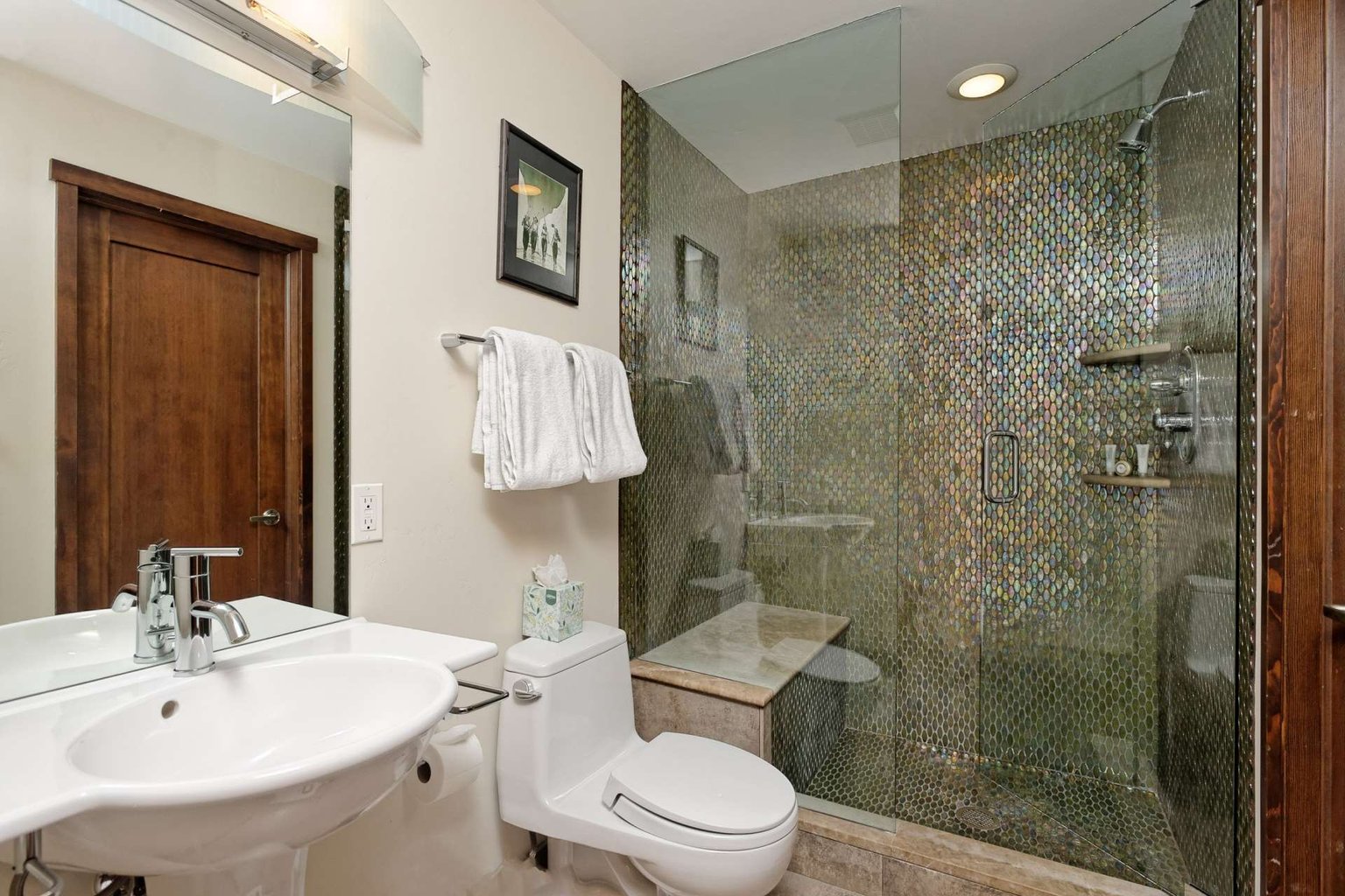 Aspen Vacation Rental