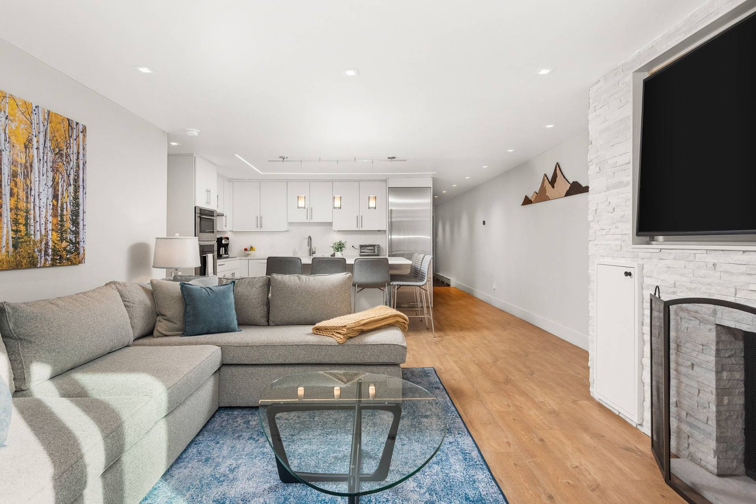 Aspen Vacation Rental