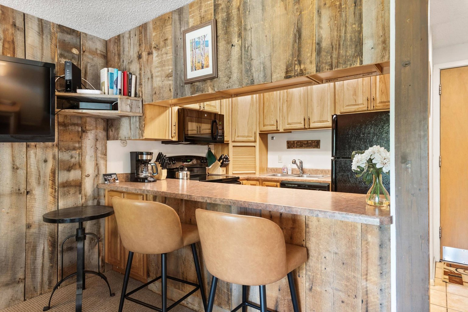 Snowmass Village Vacation Rental