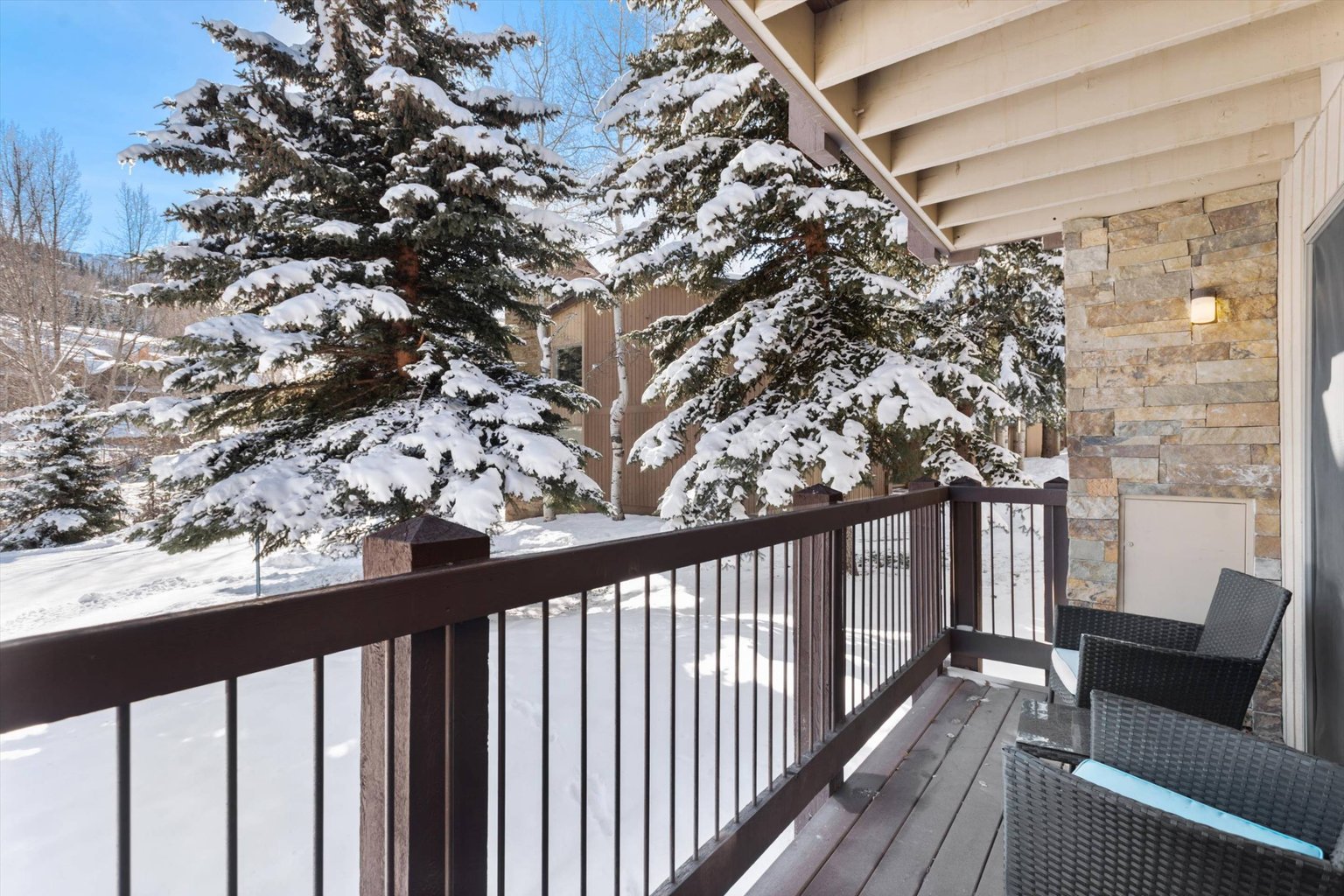 Snowmass Village Vacation Rental
