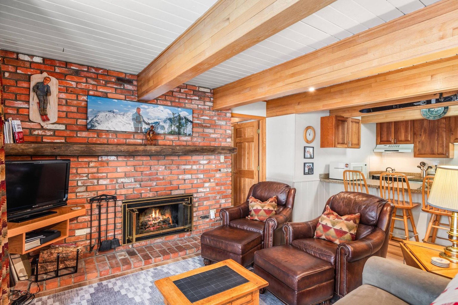 Aspen Vacation Rental