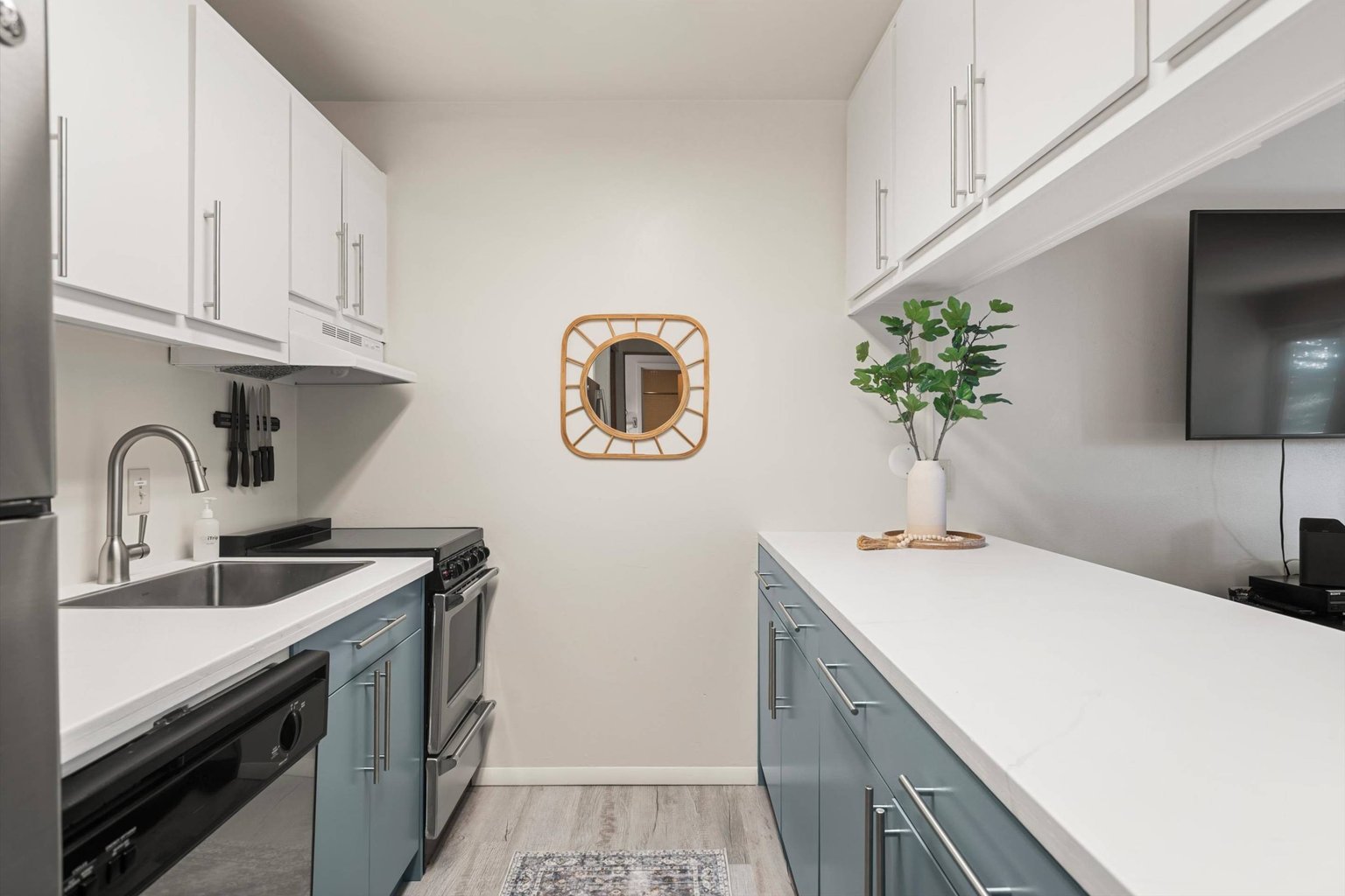 Snowmass Village Vacation Rental