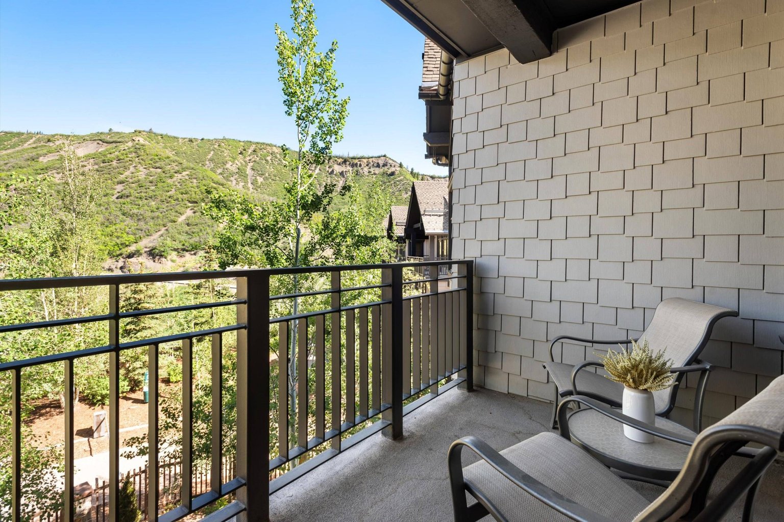 Snowmass Village Vacation Rental