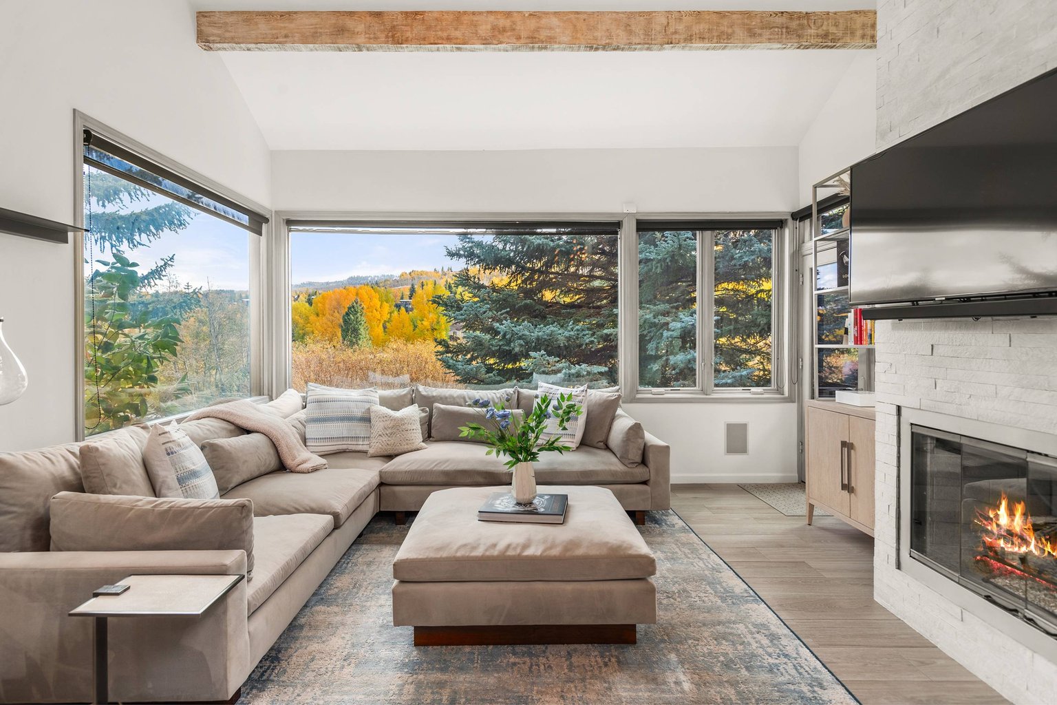 Snowmass Village Vacation Rental