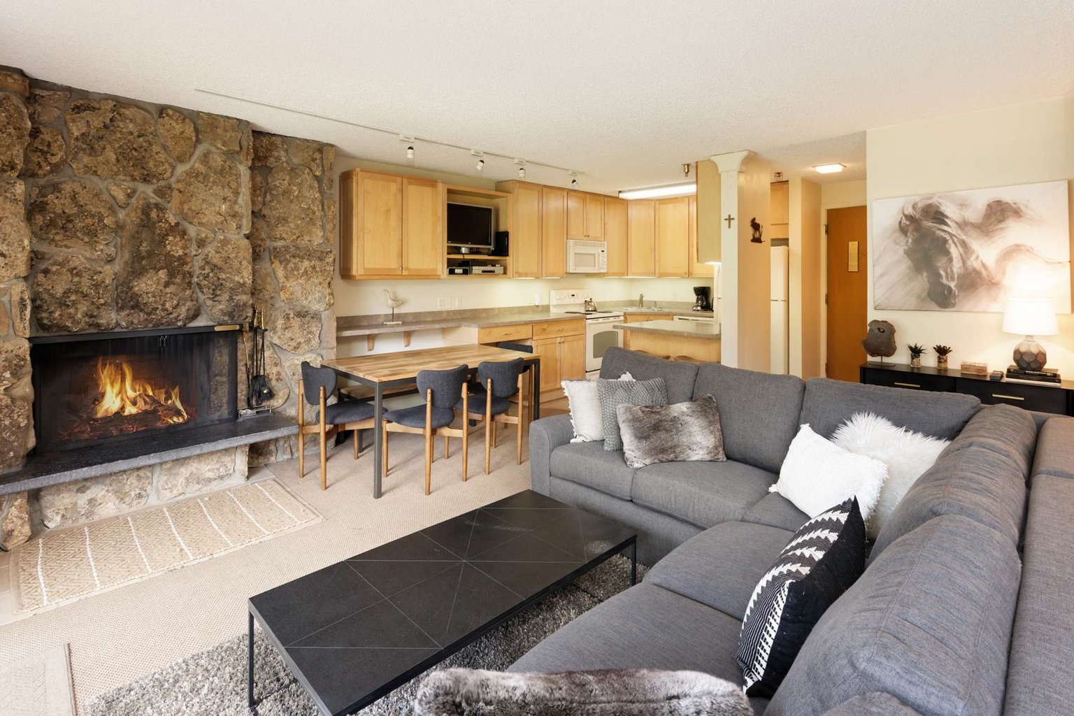 Snowmass Village Vacation Rental