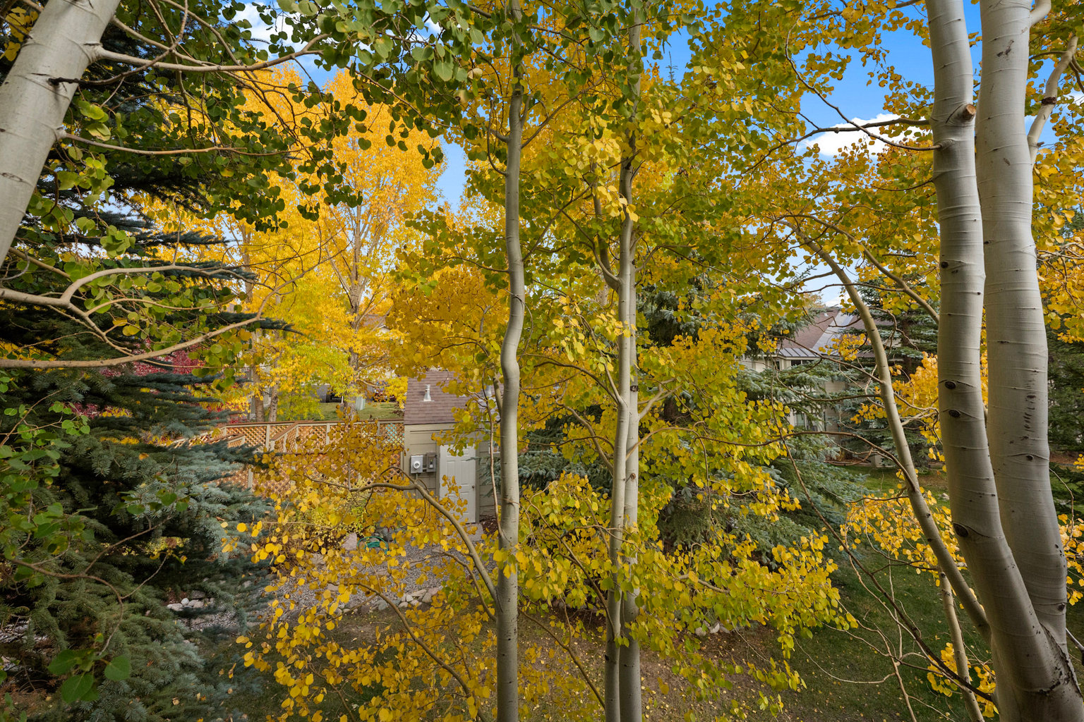 Frisco Vacation Rental