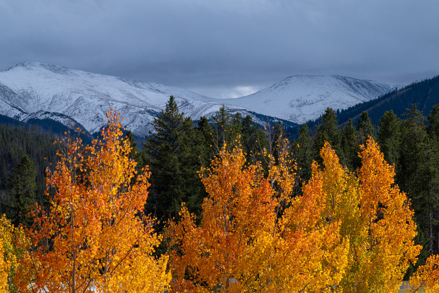 Winter Park Vacation Rental