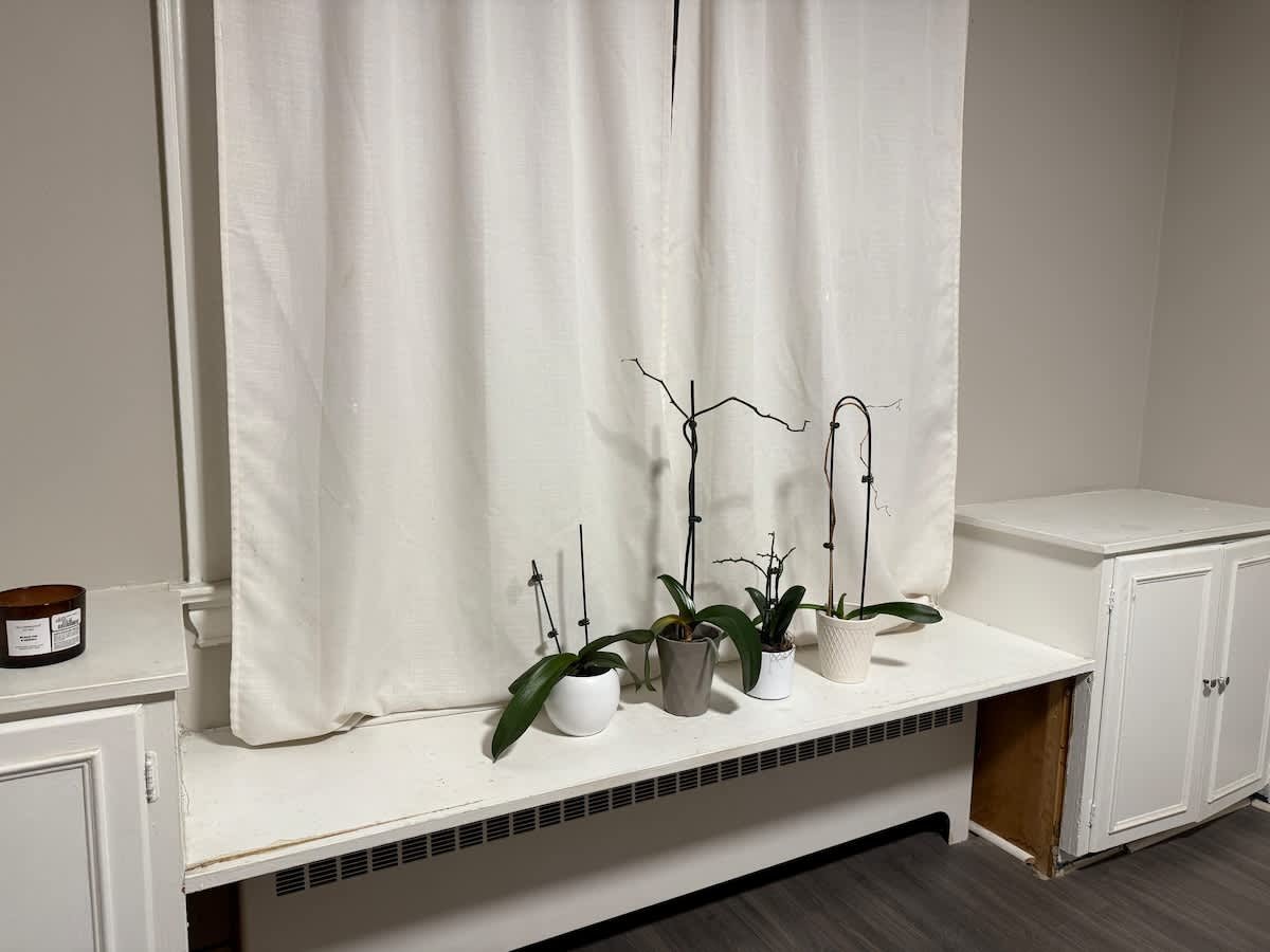 Toronto Vacation Rental