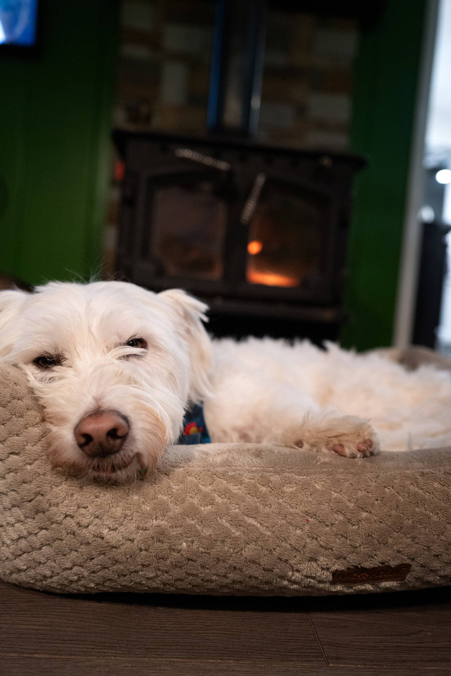 Grand Lake Vacation Rental