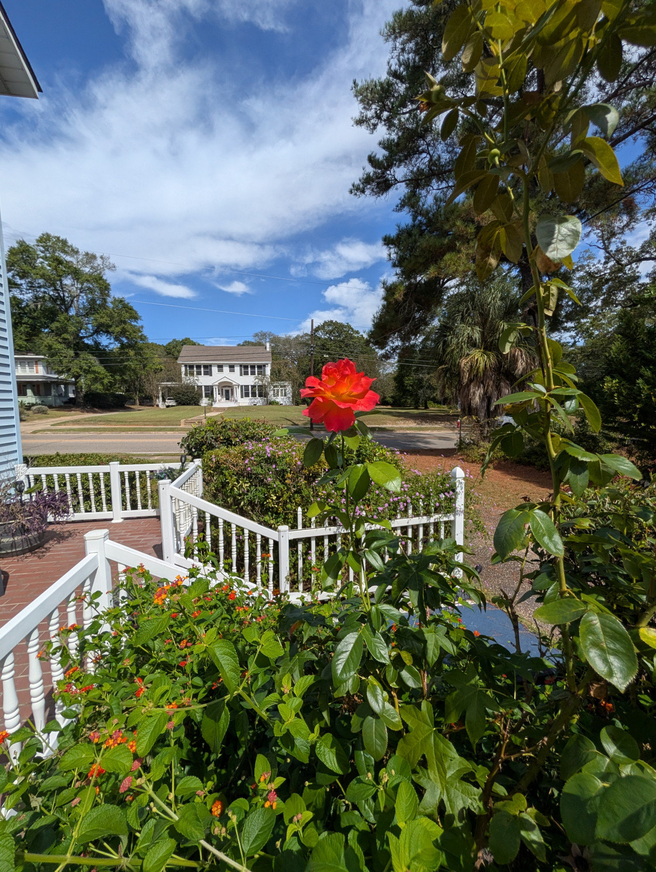 Ozark Vacation Rental