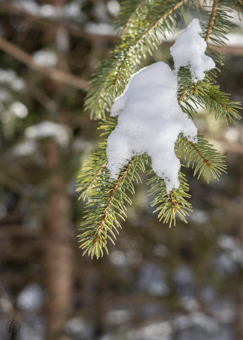 St-Côme Vacation Rental