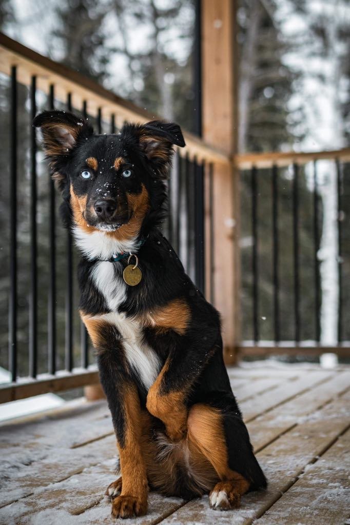 Sainte-Émélie-de-l'Énergie Vacation Rental