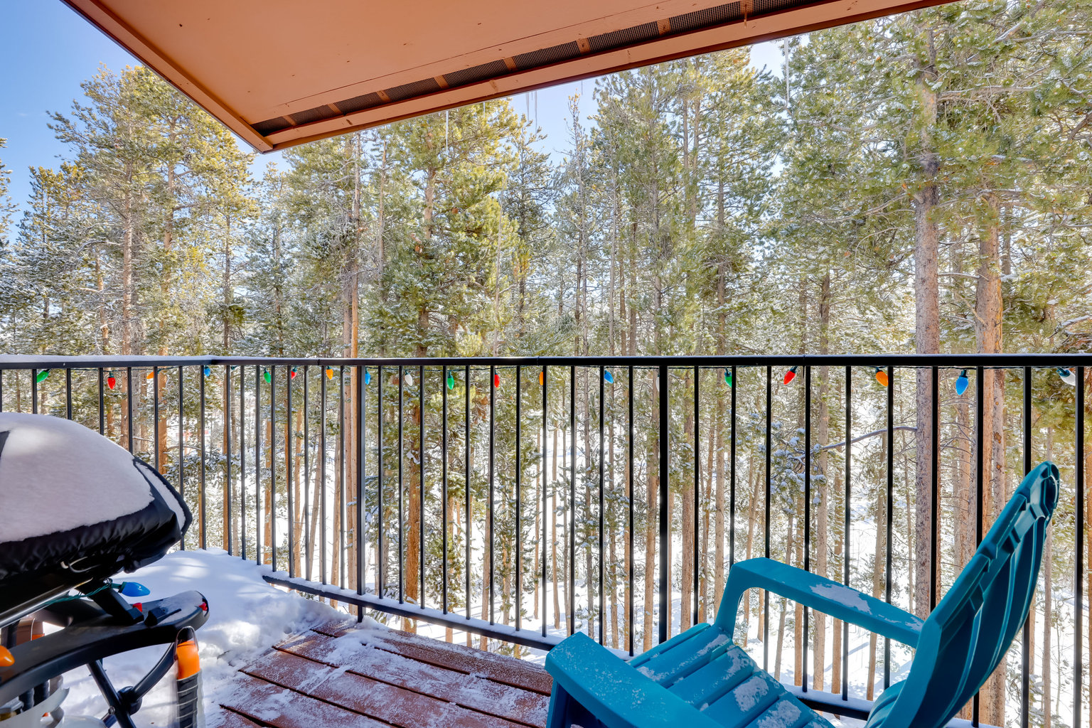 Winter Park Vacation Rental