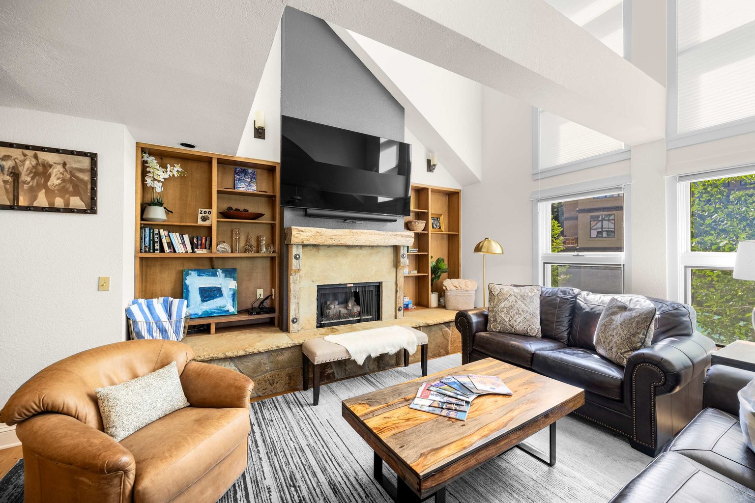 Mountain Village Vacation Rental