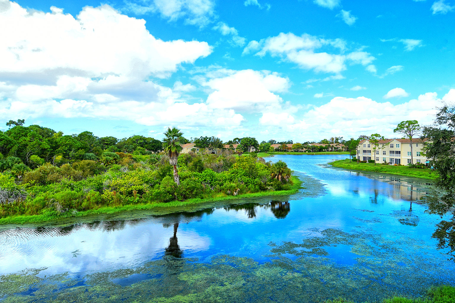 Sarasota Vacation Rental