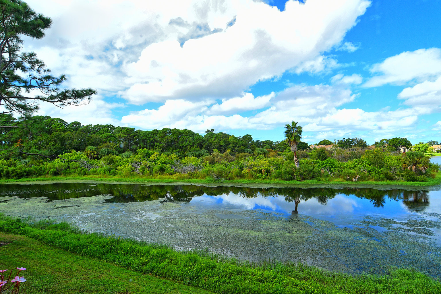 Sarasota Vacation Rental