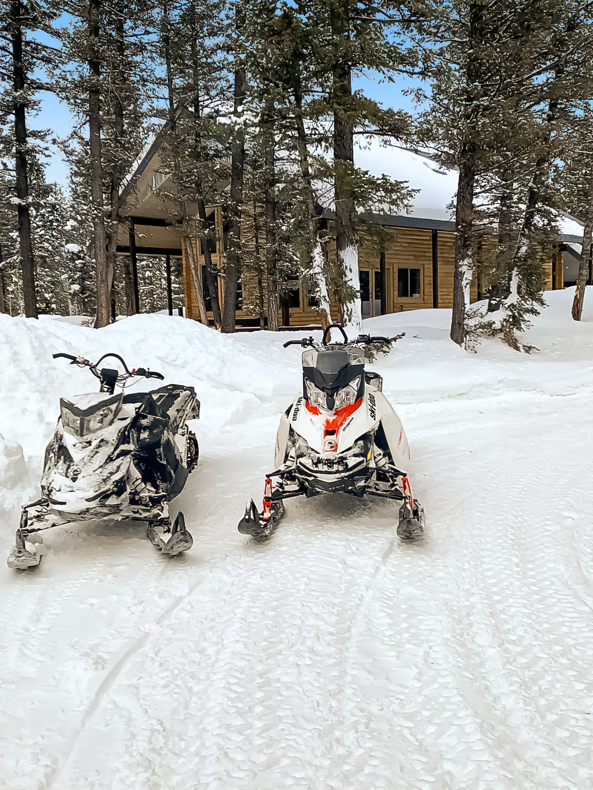 Island Park Vacation Rental