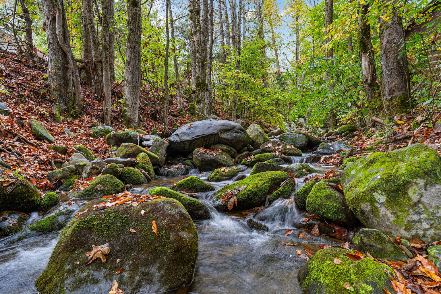 GATLINBURG Vacation Rental