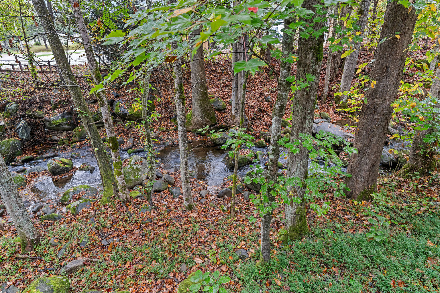 GATLINBURG Vacation Rental