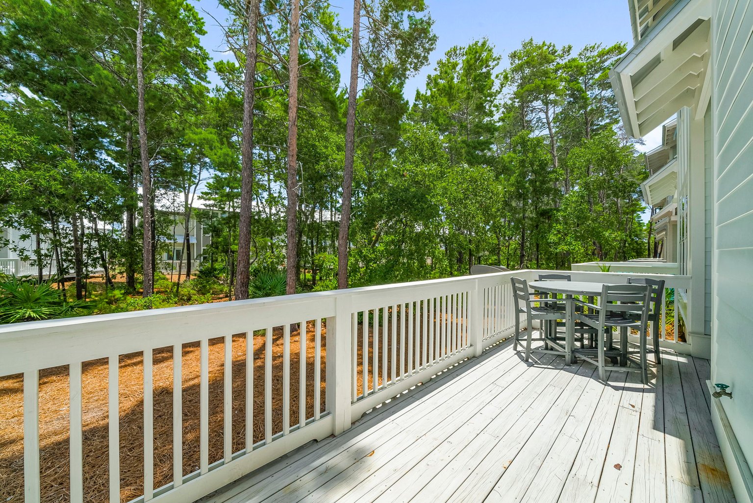 Inlet Beach Vacation Rental