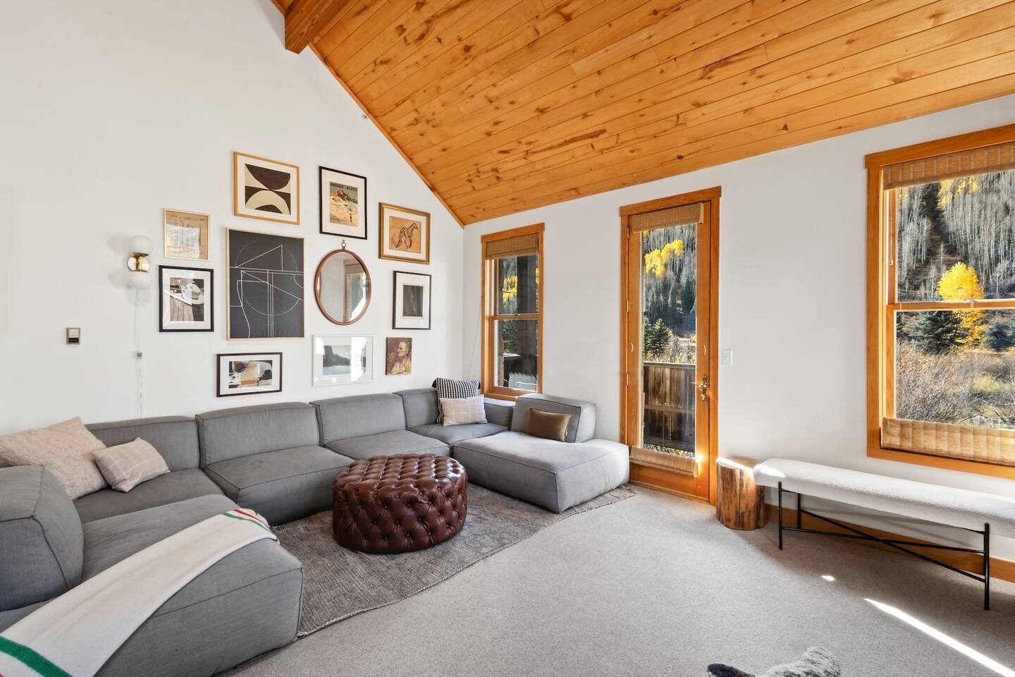 Telluride Vacation Rental