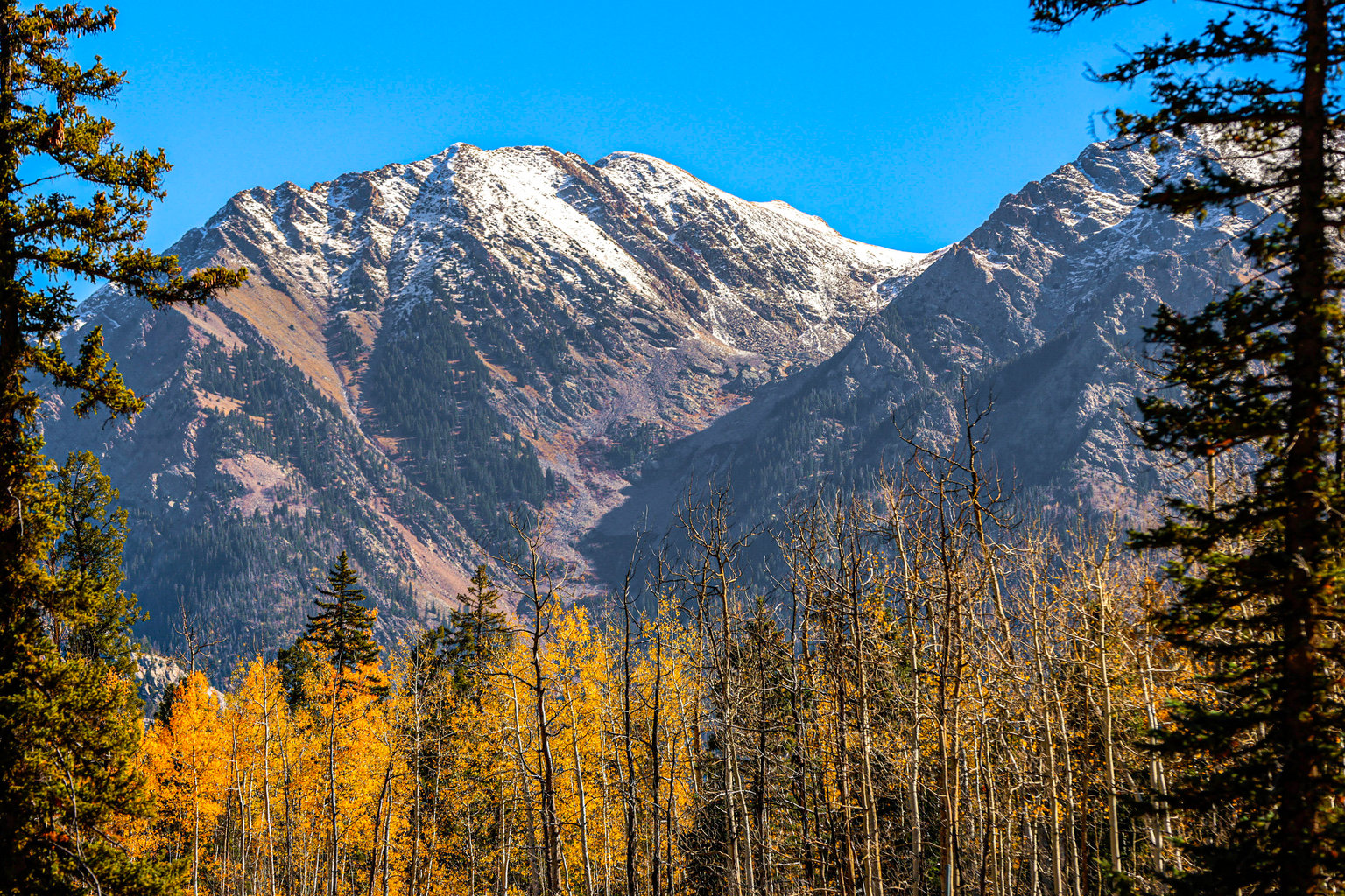 Durango Vacation Rental