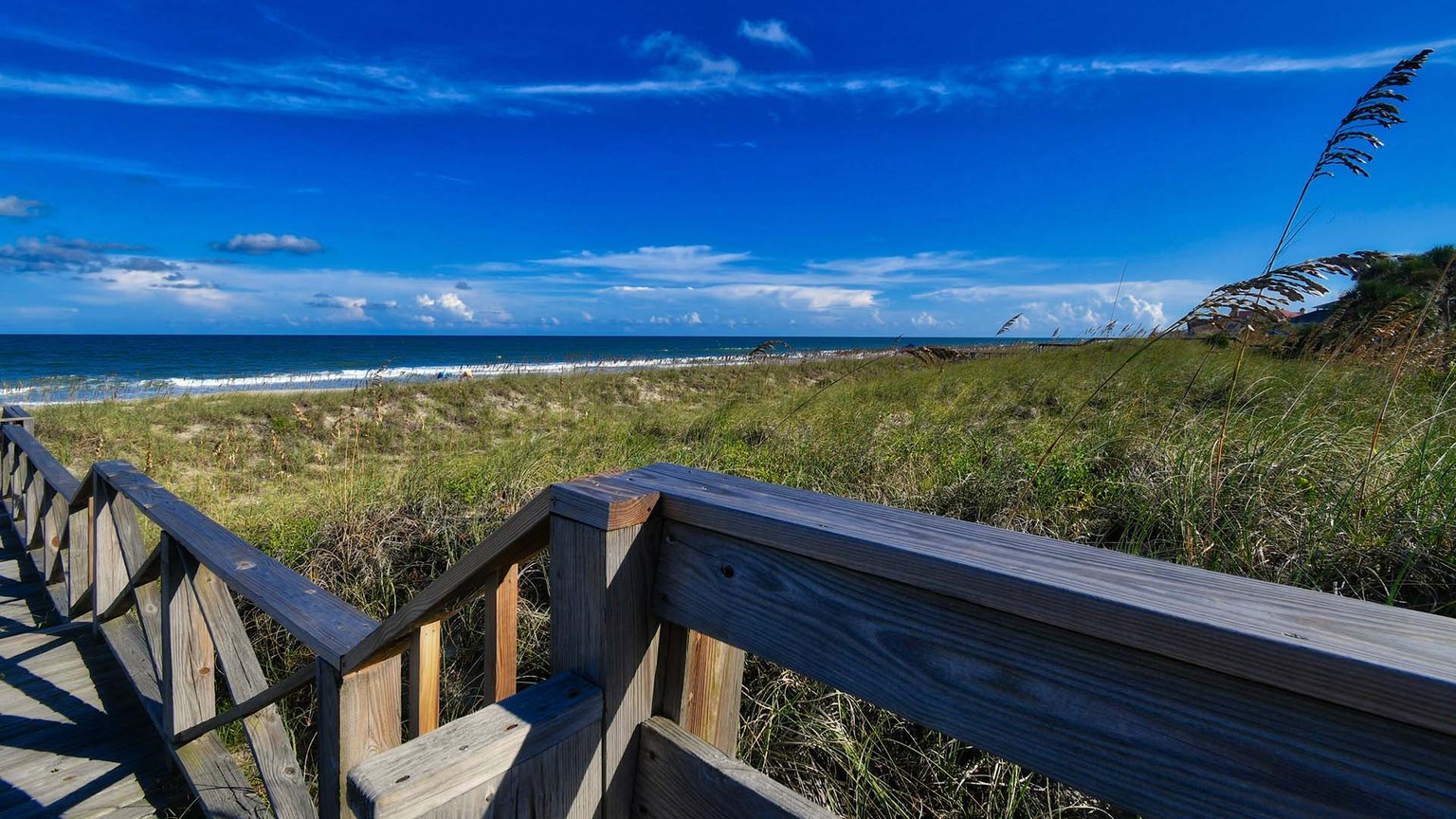 Georgetown Vacation Rental