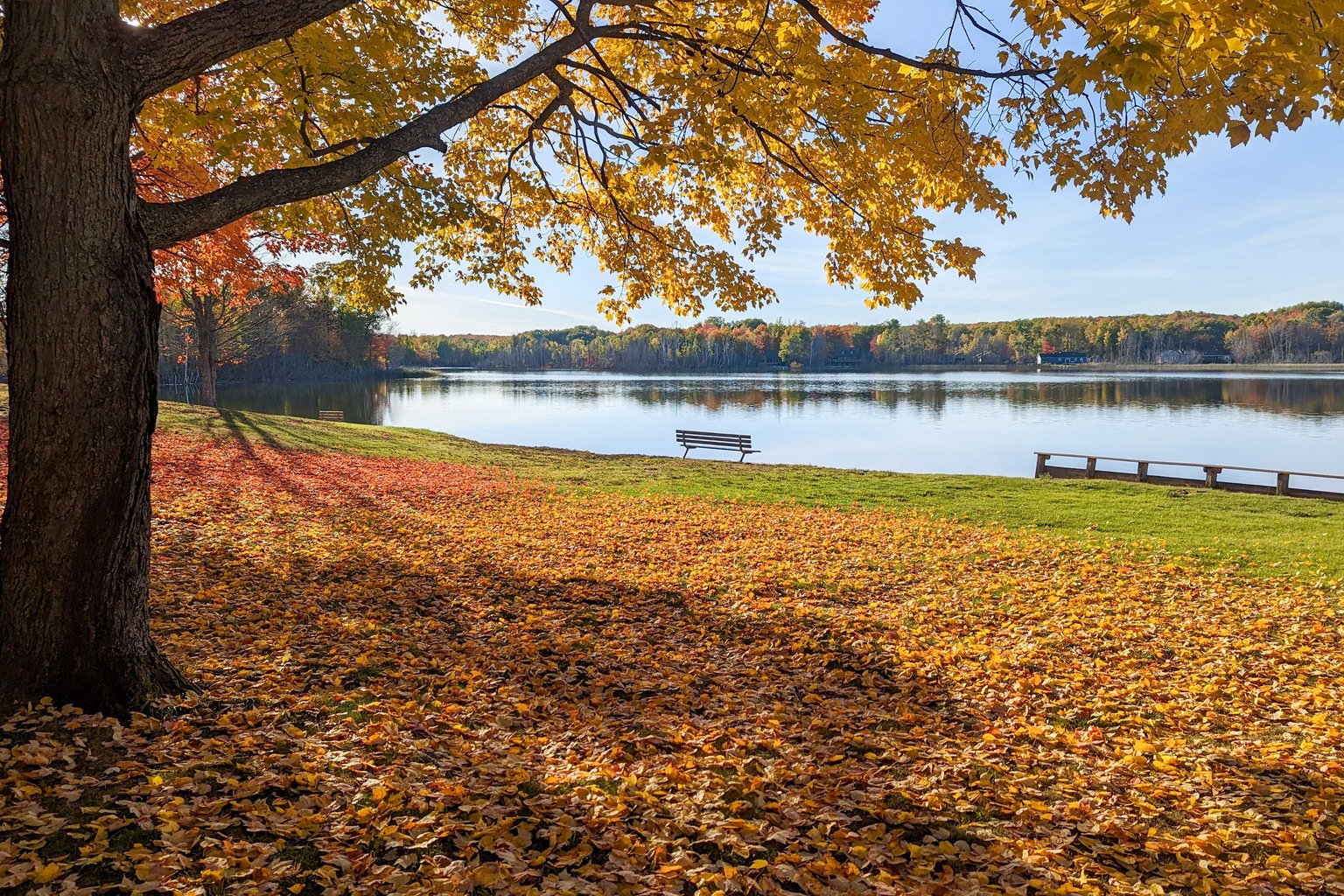 Elmira Vacation Rental