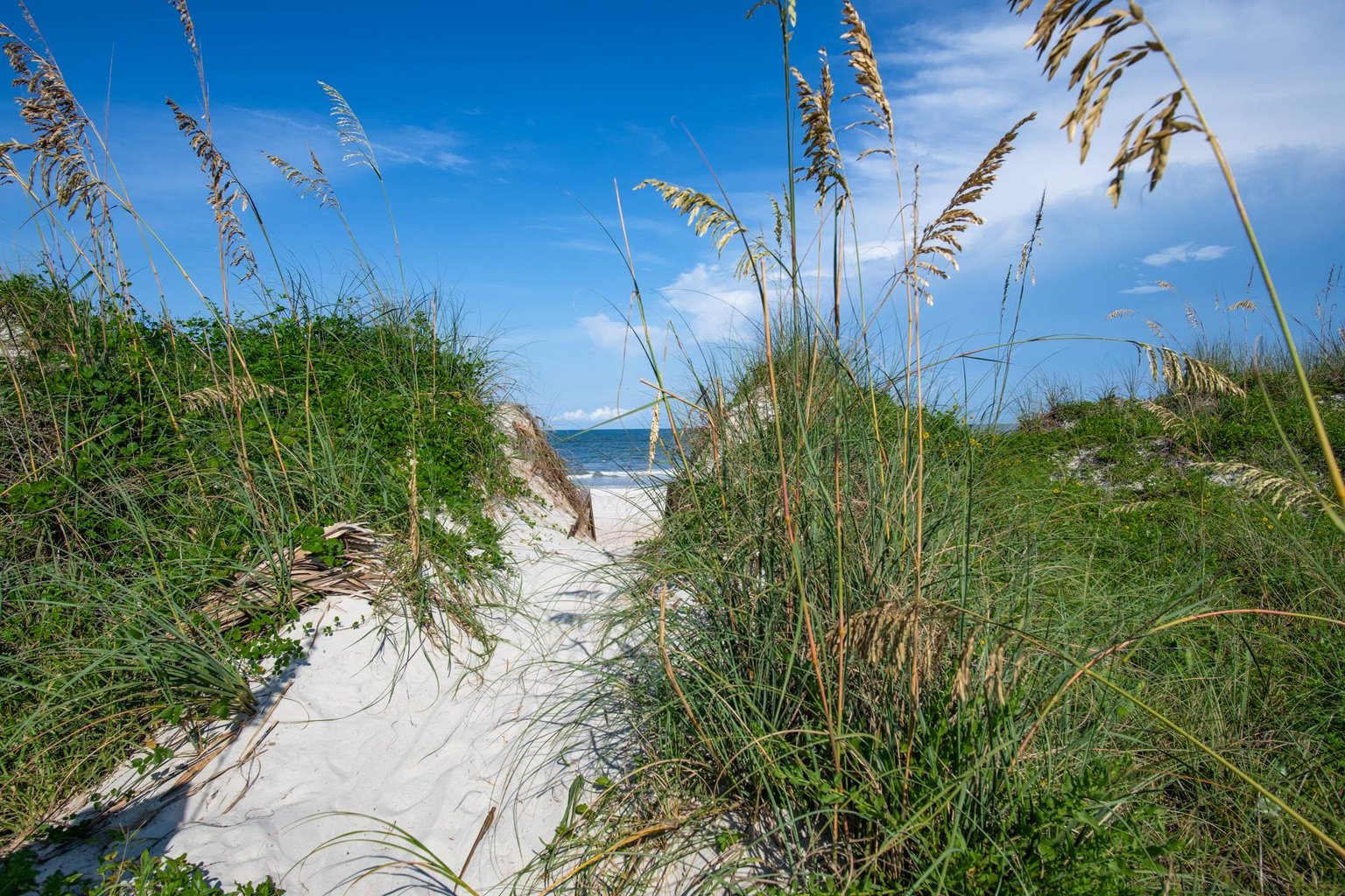 Saint Augustine Vacation Rental