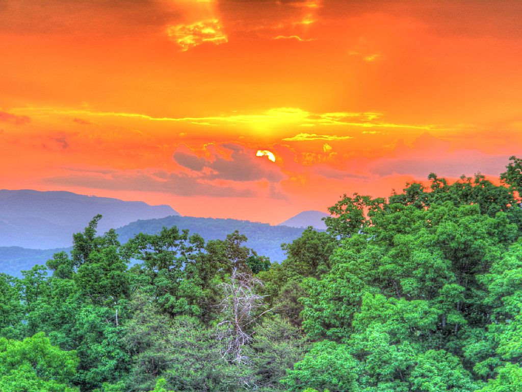 Sevier County Vacation Rental