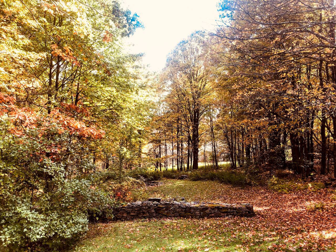 Bloomville Vacation Rental