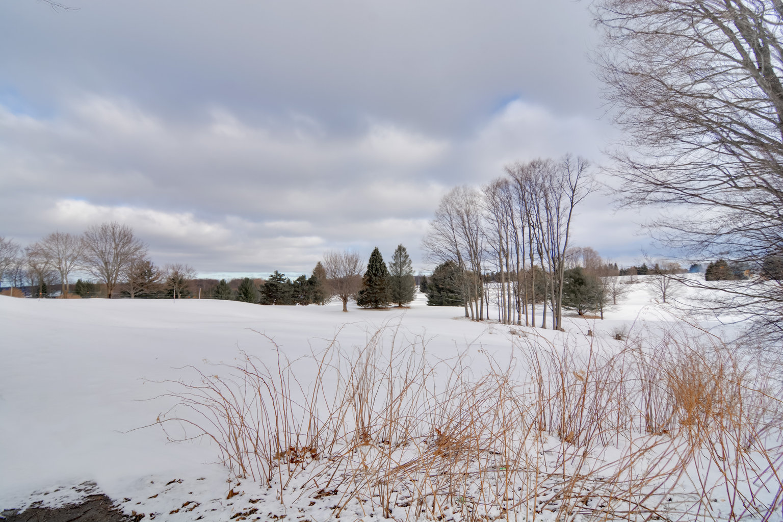 Bellaire Vacation Rental