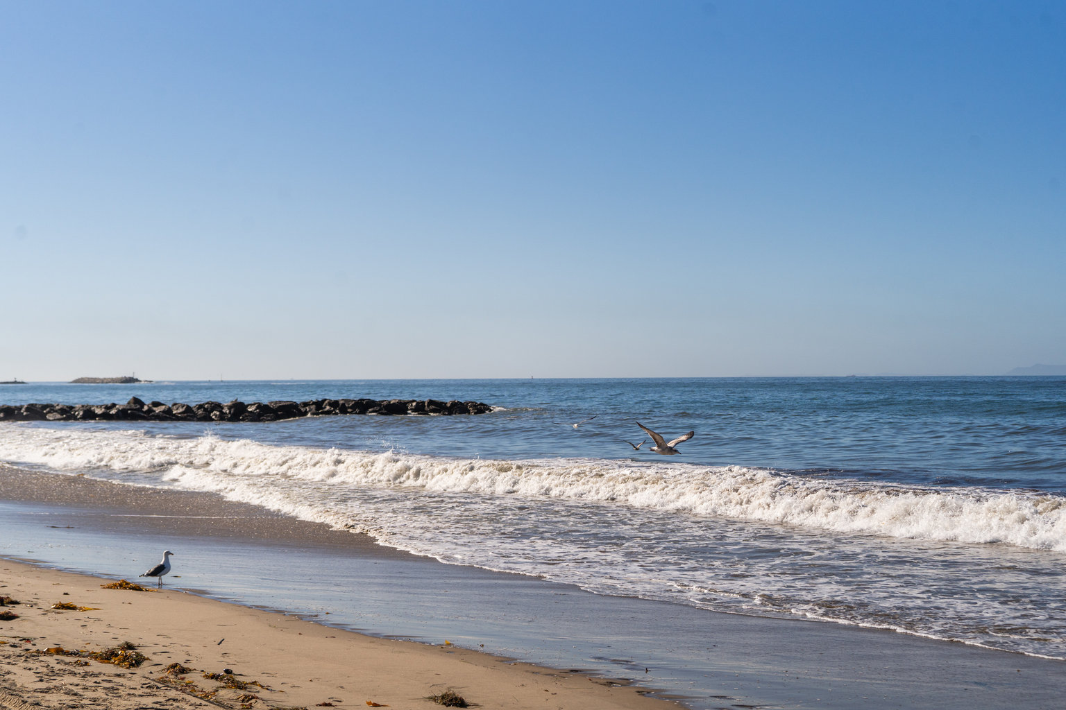 Ventura Vacation Rental