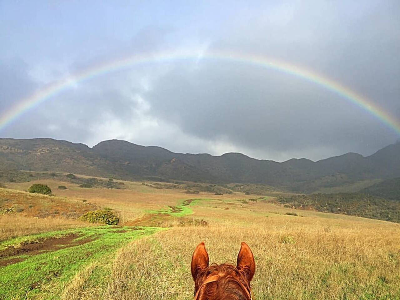 Malibu Vacation Rental
