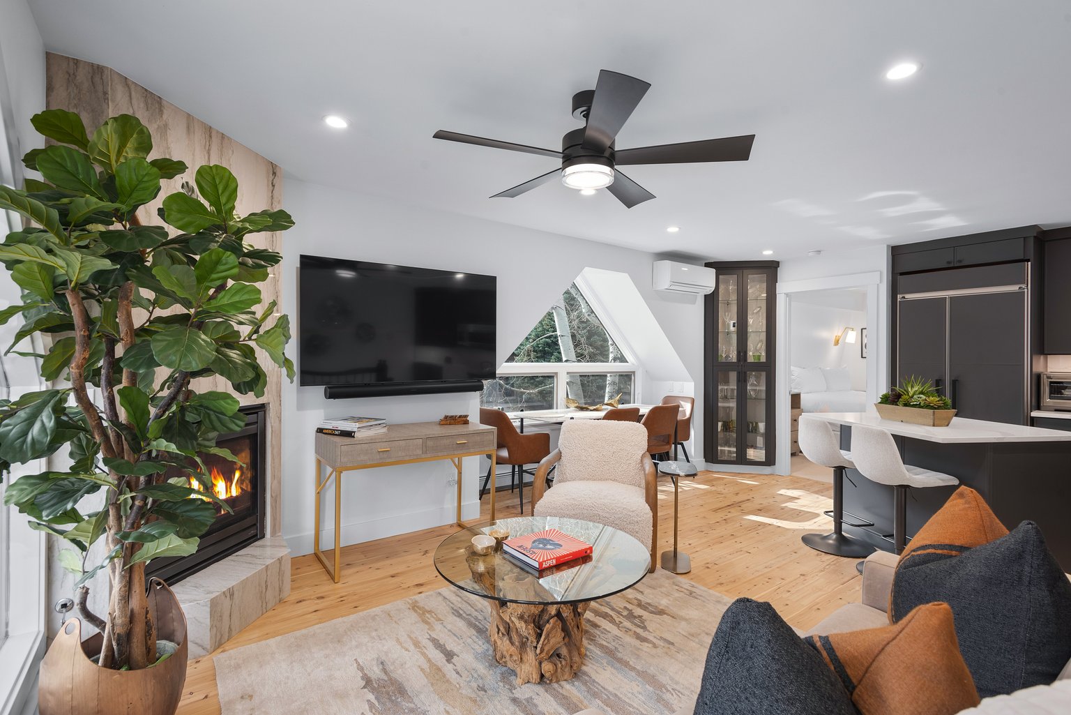 Aspen Vacation Rental