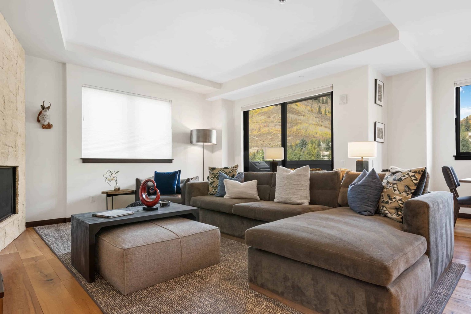 Vail Vacation Rental