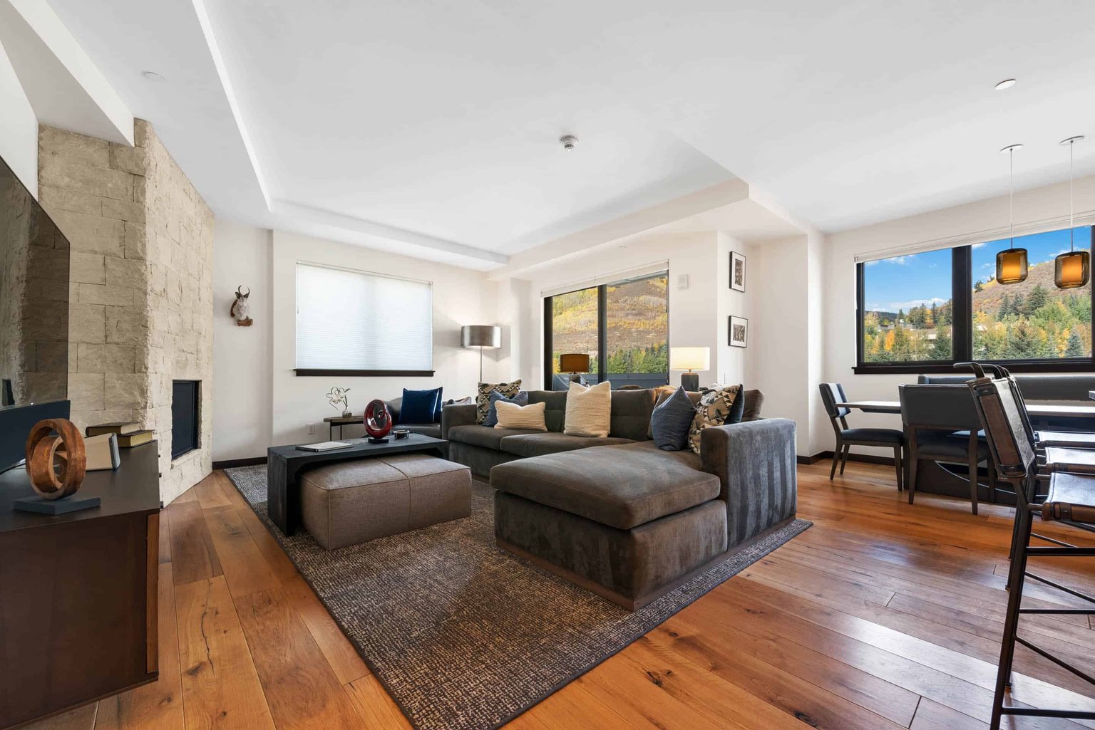 Vail Vacation Rental