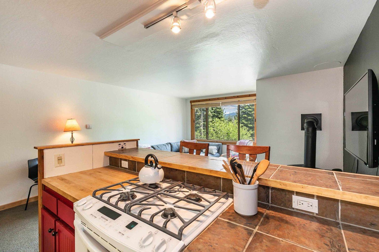 Truckee Vacation Rental