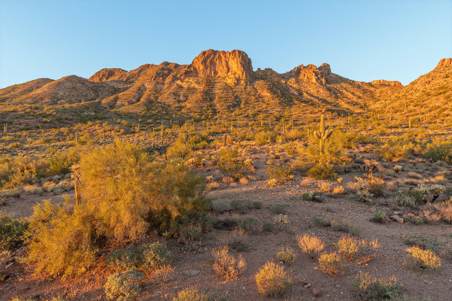 Apache Junction Vacation Rental