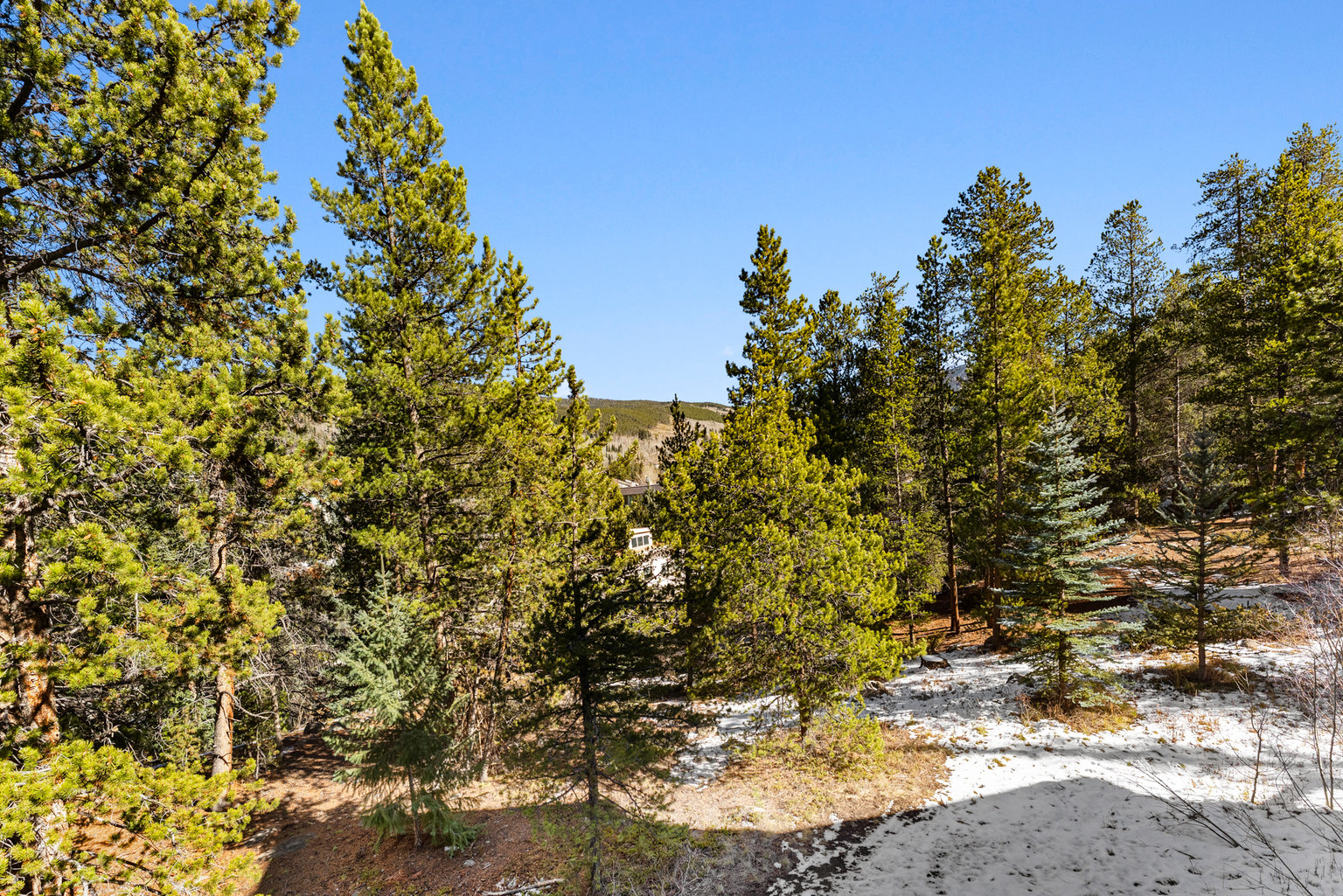 Keystone Vacation Rental