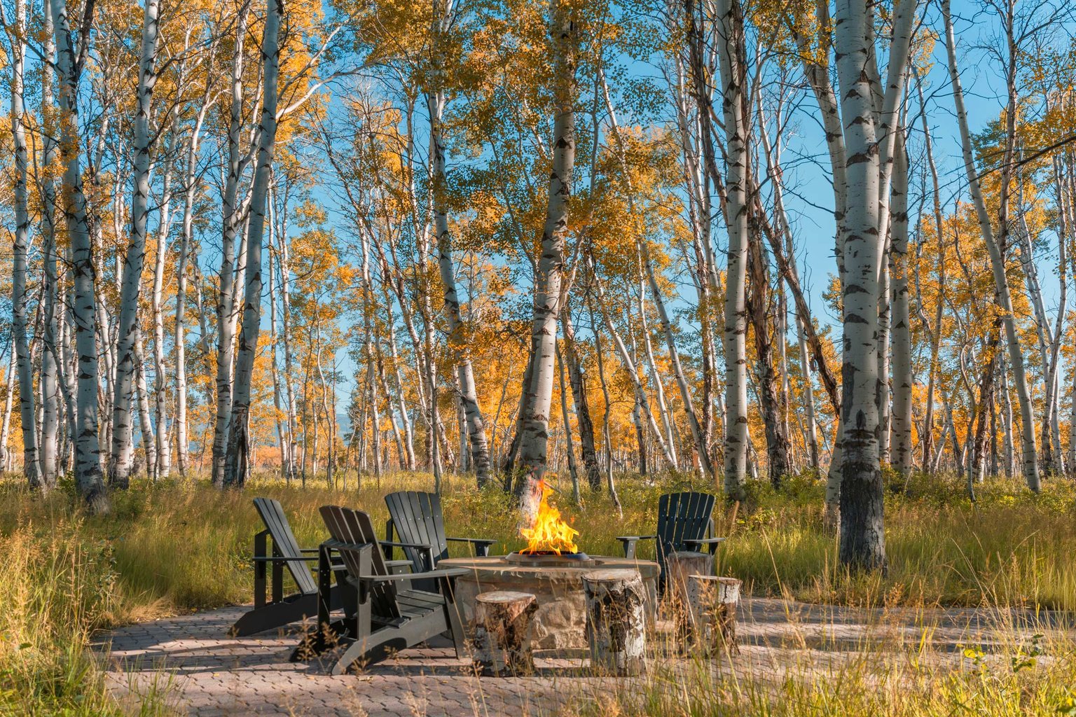 Victor Vacation Rental