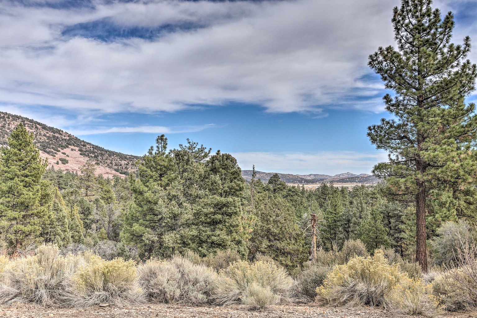 Big Bear Vacation Rental