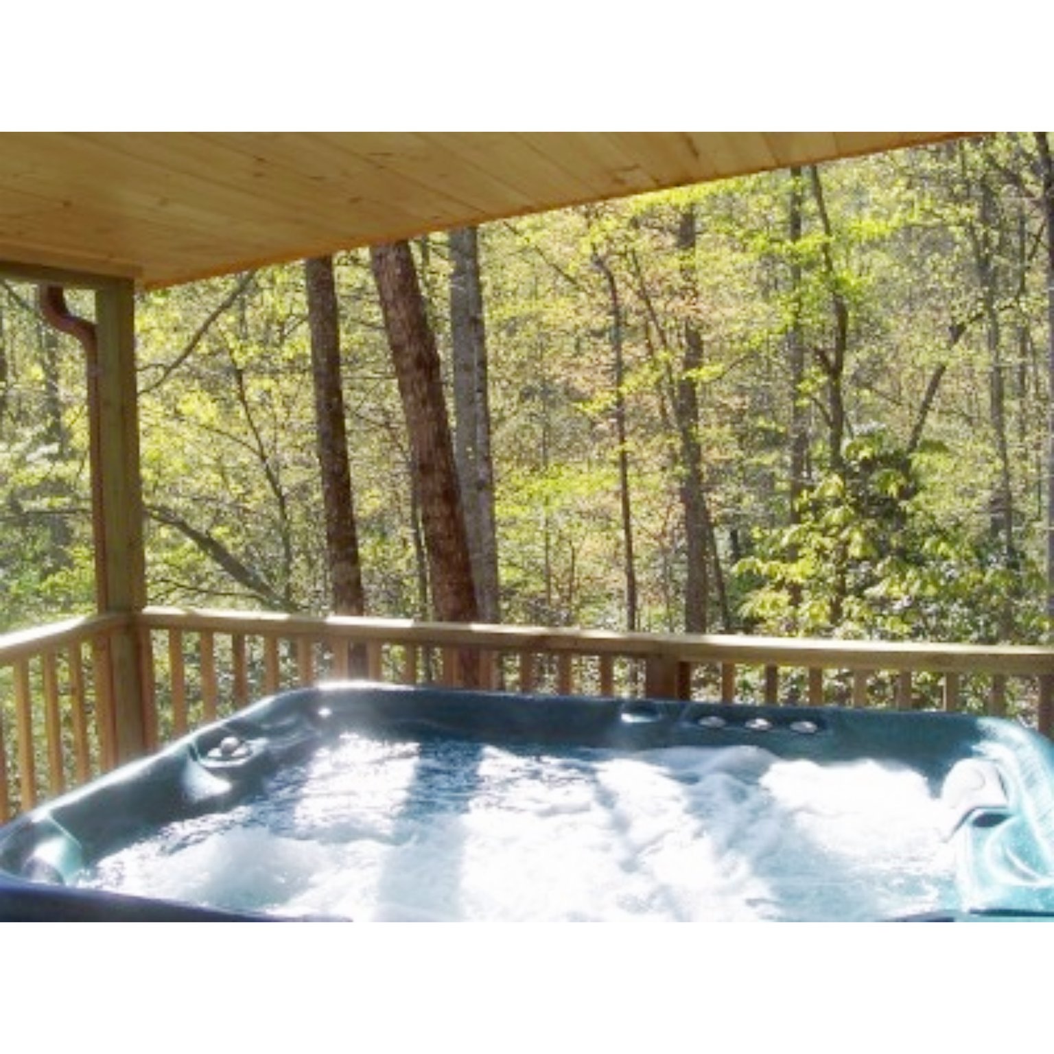 Hendersonville Vacation Rental