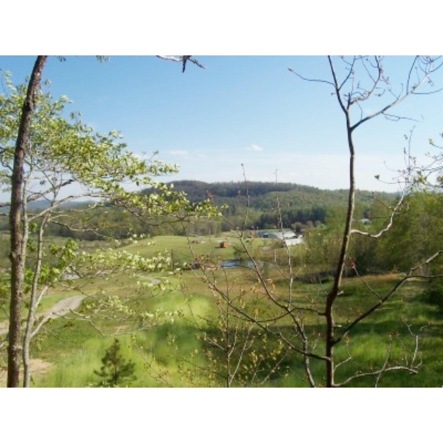 Hendersonville Vacation Rental