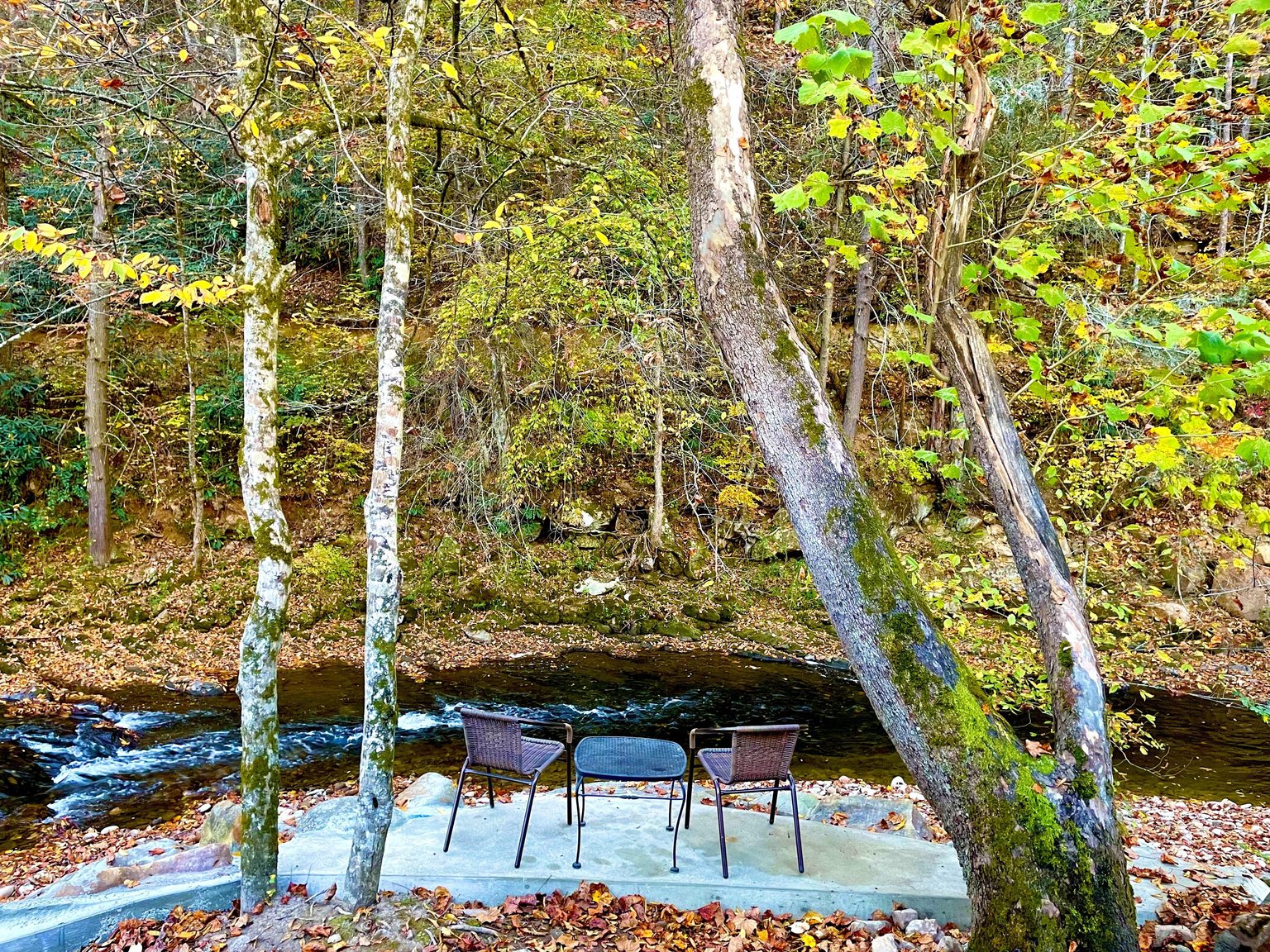 Cosby Vacation Rental